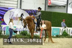 24BUCK_10844 proof