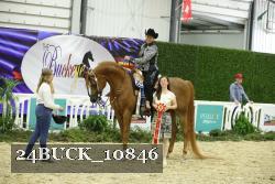 24BUCK_10846 proof