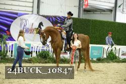 24BUCK_10847 proof