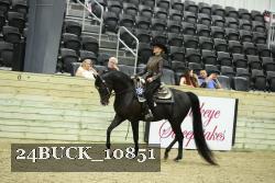 24BUCK_10851 proof
