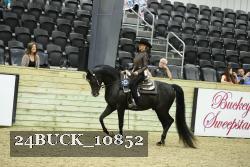 24BUCK_10852 proof