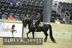 24BUCK_10855 proof