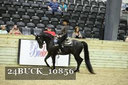 24BUCK_10856 proof
