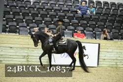 24BUCK_10857 proof