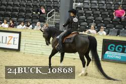 24BUCK_10868 proof