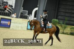 24BUCK_10871 proof