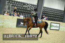 24BUCK_10872 proof
