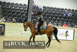 24BUCK_10875 proof