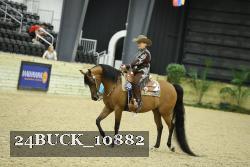 24BUCK_10882 proof