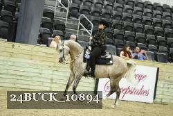 24BUCK_10894 proof
