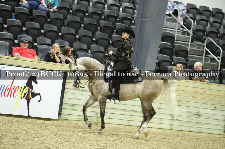 Proof 24BUCK_10895