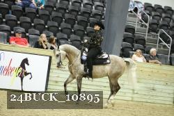 24BUCK_10895 proof