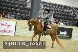 24BUCK_10901 proof
