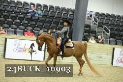 24BUCK_10903 proof