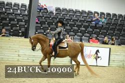 24BUCK_10906 proof