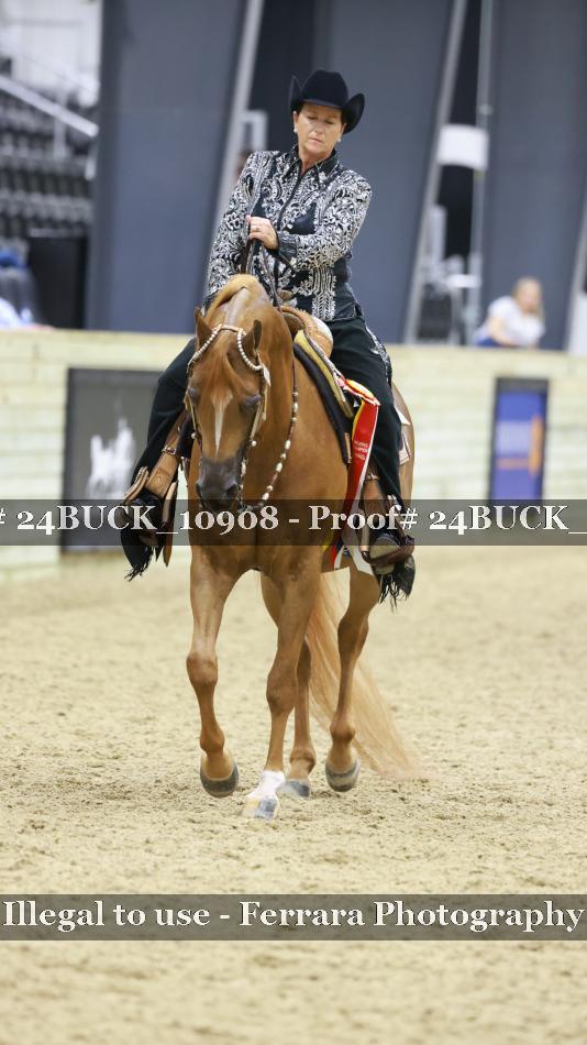 Proof 24BUCK_10908