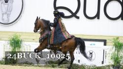 24BUCK_10925 proof