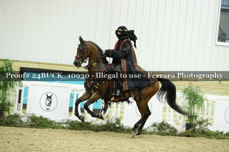 Proof 24BUCK_10930