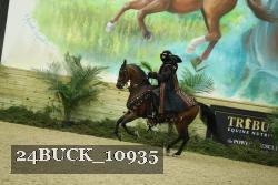 24BUCK_10935 proof