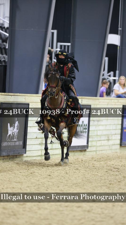 Proof 24BUCK_10938