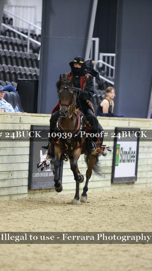 Proof 24BUCK_10939