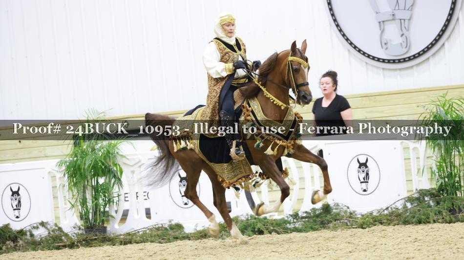Proof 24BUCK_10953