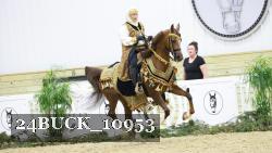 24BUCK_10953 proof