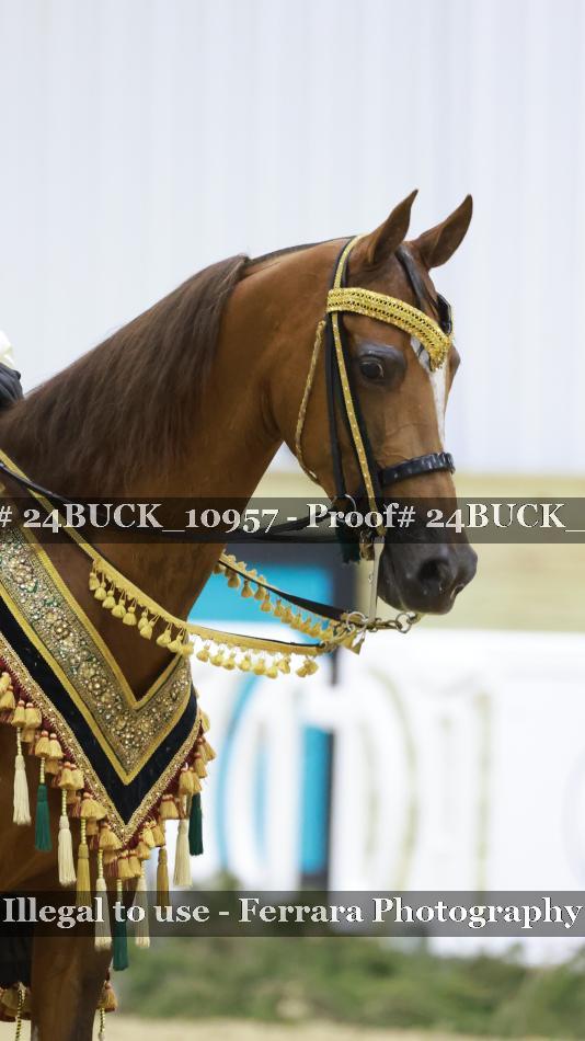 Proof 24BUCK_10957
