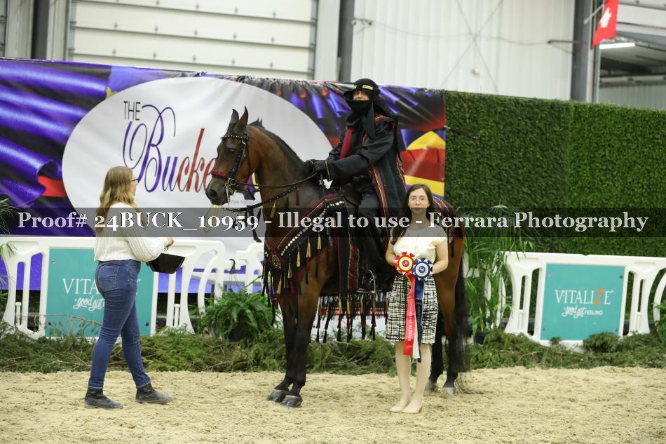 Proof 24BUCK_10959