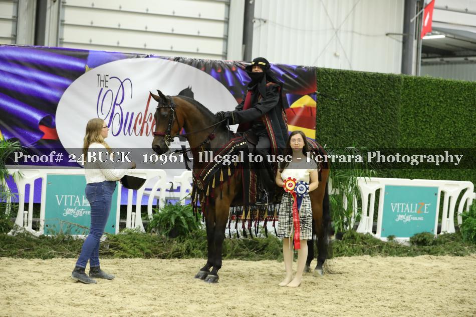 Proof 24BUCK_10961