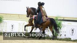 24BUCK_10964 proof