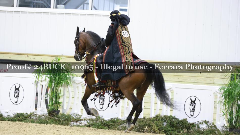 Proof 24BUCK_10965