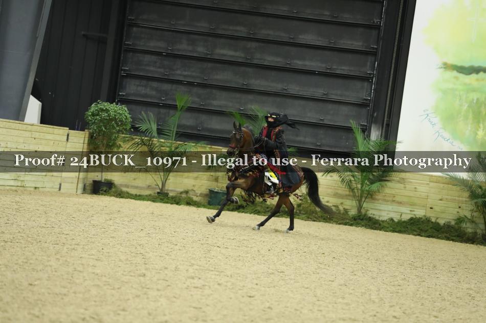Proof 24BUCK_10971