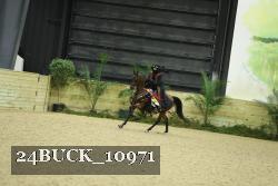 24BUCK_10971 proof