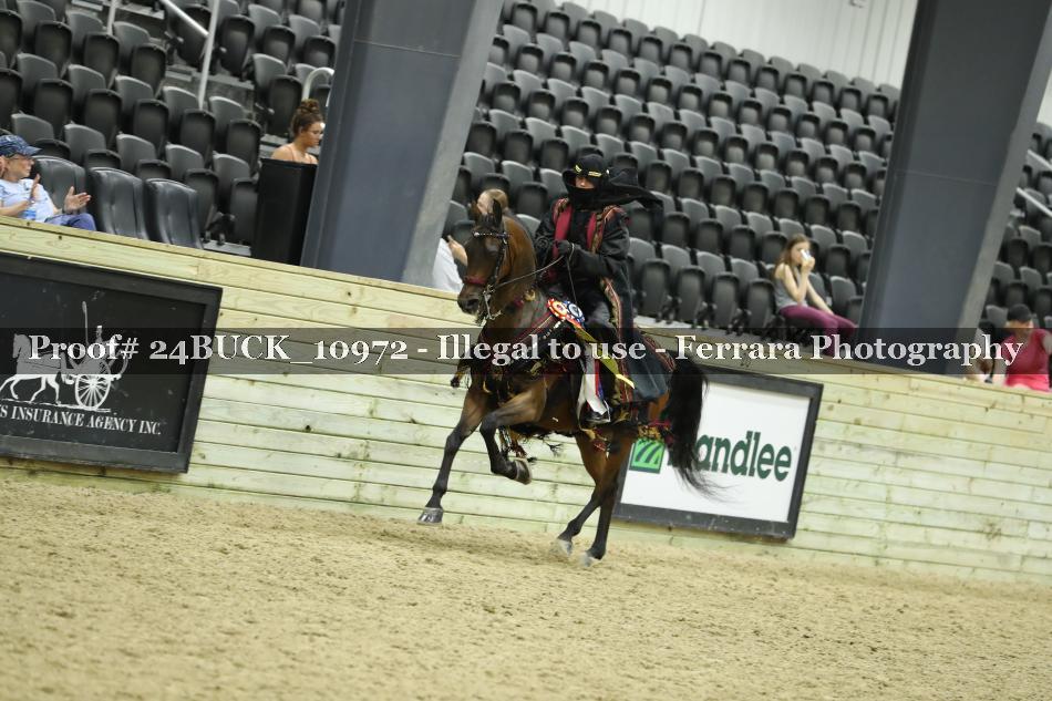 Proof 24BUCK_10972