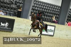 24BUCK_10972 proof