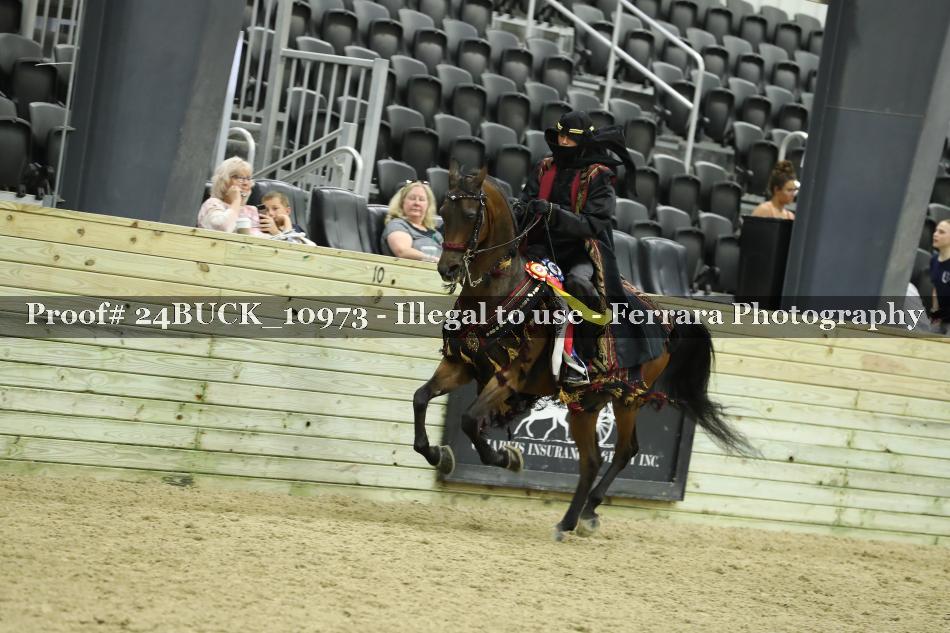 Proof 24BUCK_10973