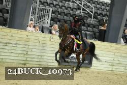 24BUCK_10973 proof