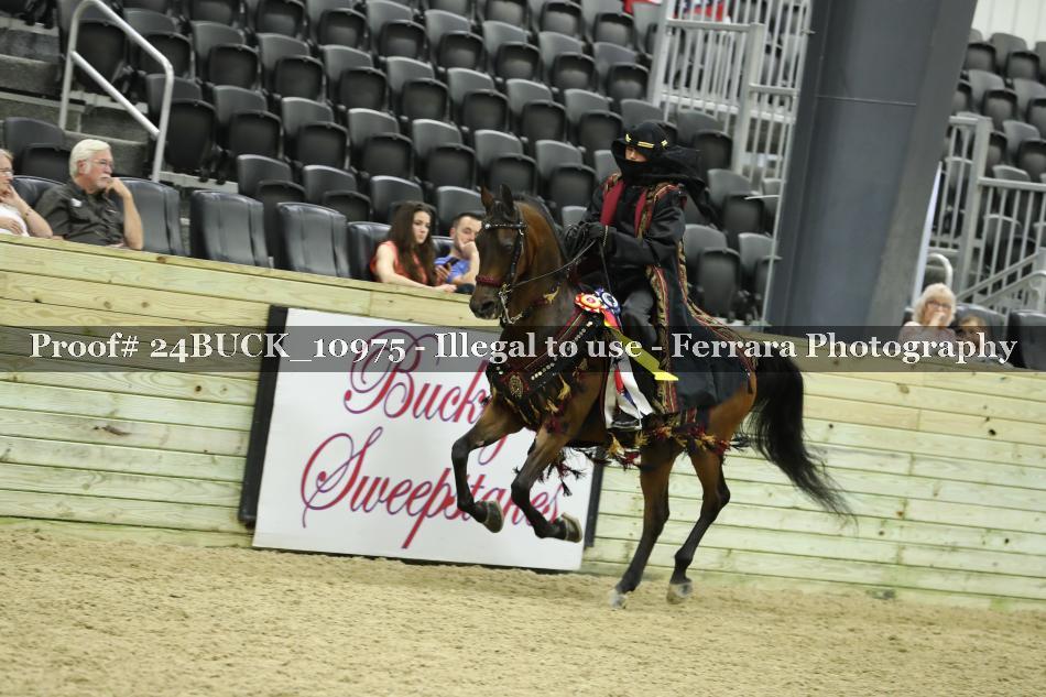 Proof 24BUCK_10975