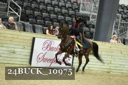 24BUCK_10975 proof
