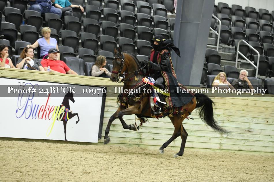 Proof 24BUCK_10976
