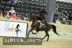 24BUCK_10976 proof
