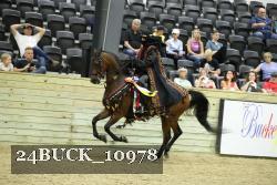 24BUCK_10978 proof