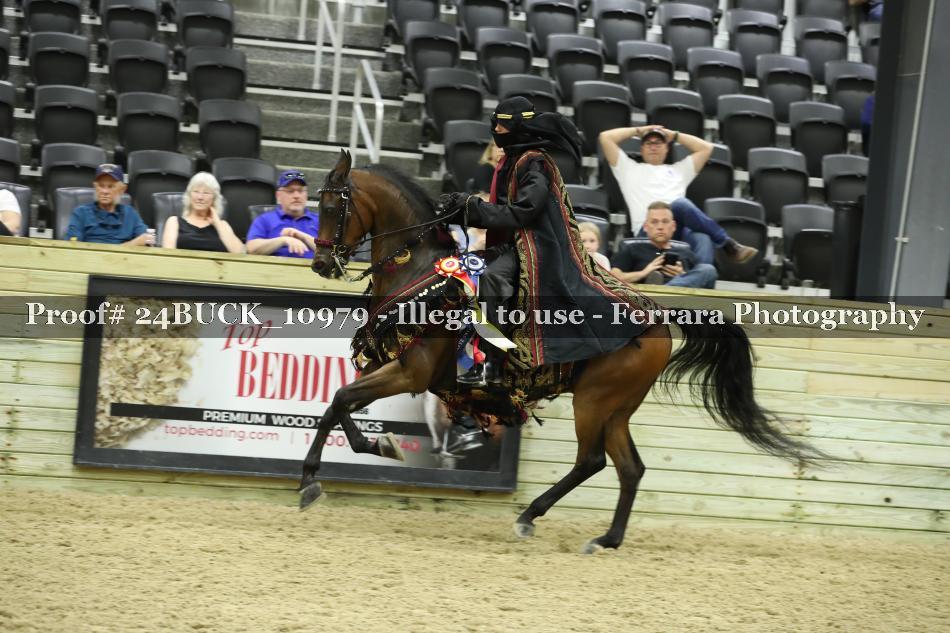 Proof 24BUCK_10979