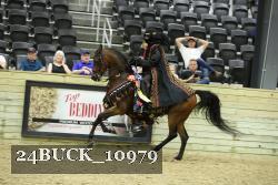 24BUCK_10979 proof