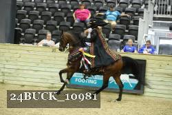 24BUCK_10981 proof