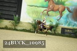 24BUCK_10985 proof