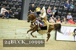 24BUCK_10996 proof