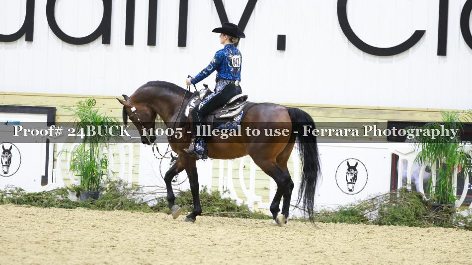 Proof 24BUCK_11005