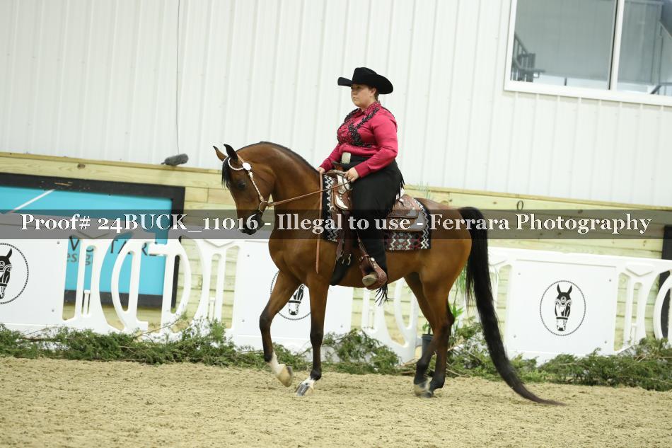 Proof 24BUCK_11016